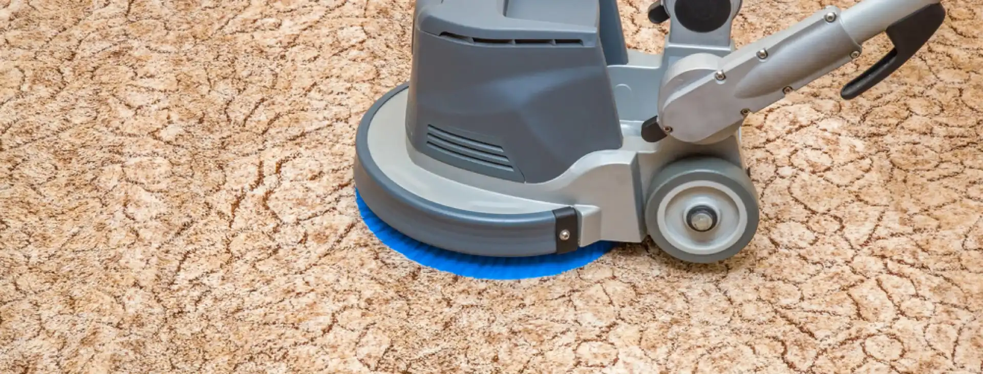 carpet cleaning in new york, carpet cleaning new york, carpet cleaners in new york, carpet cleaners in ny, commercial carpet cleaning, commercial carpet cleaning in ny, ny rug cleaners, rug cleaning services in new york, same day carpet cleaning, same day rug cleaning in ny